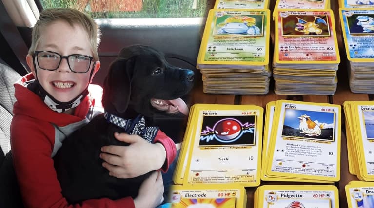 美國男孩愛犬生病 忍痛賣寶可夢卡募款 寶可夢公司感動寄來大禮