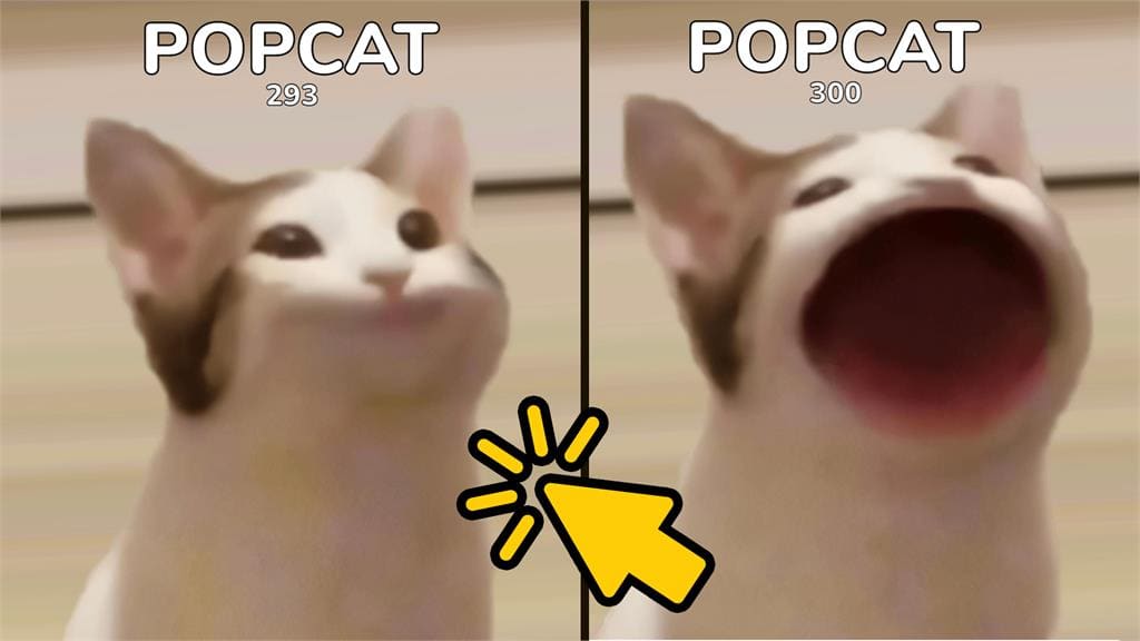 線上奧運會! 啵啵貓「POPCAT」網頁點擊賽 台灣衝進前十！